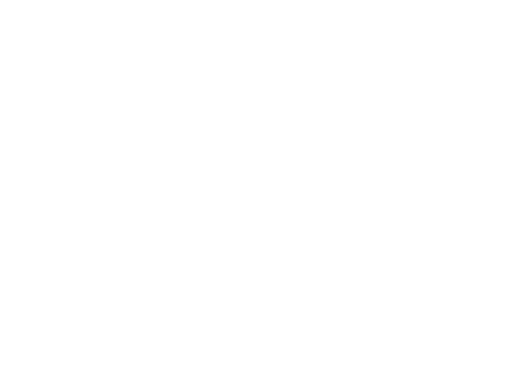 ShiwaForce